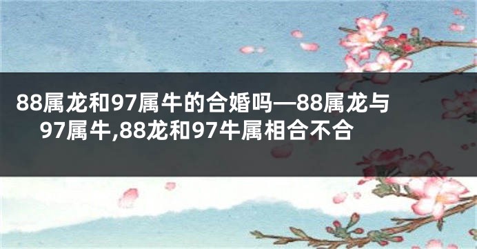 88属龙和97属牛的合婚吗—88属龙与97属牛,88龙和97牛属相合不合