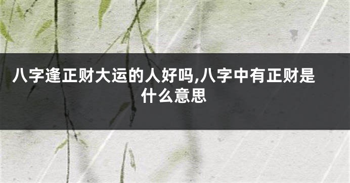 八字逢正财大运的人好吗,八字中有正财是什么意思