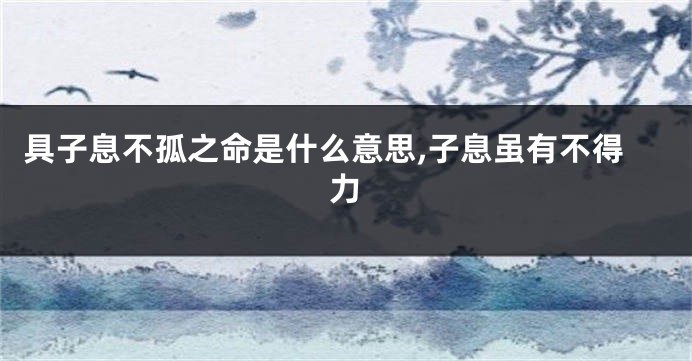 具子息不孤之命是什么意思,子息虽有不得力