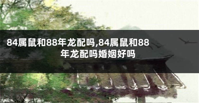 84属鼠和88年龙配吗,84属鼠和88年龙配吗婚姻好吗