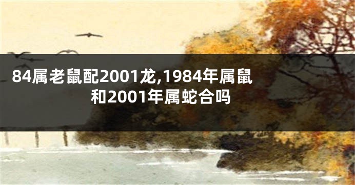 84属老鼠配2001龙,1984年属鼠和2001年属蛇合吗