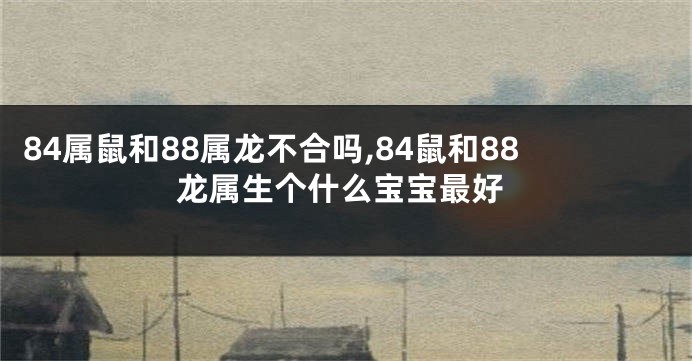 84属鼠和88属龙不合吗,84鼠和88龙属生个什么宝宝最好