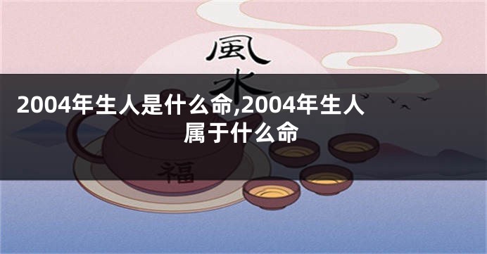 2004年生人是什么命,2004年生人属于什么命
