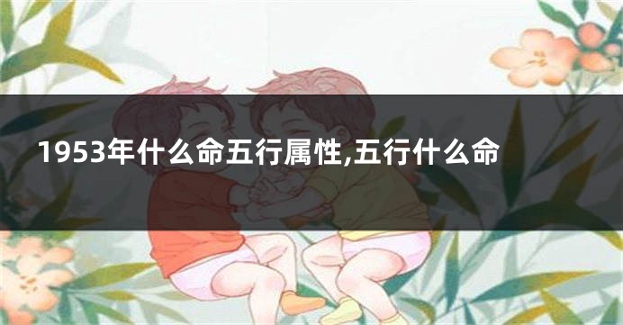 1953年什么命五行属性,五行什么命