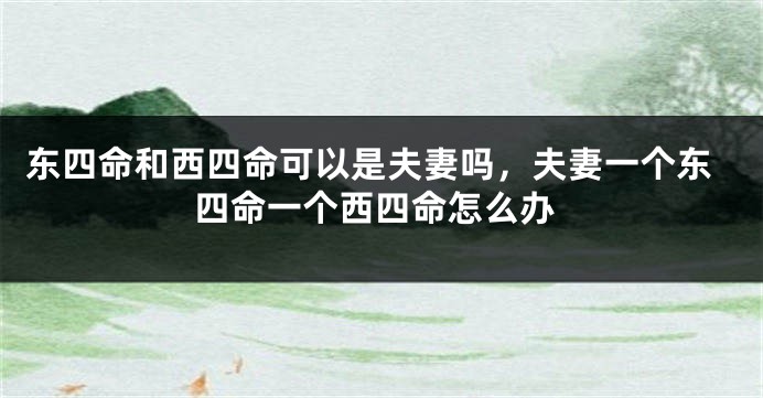 东四命和西四命可以是夫妻吗，夫妻一个东四命一个西四命怎么办