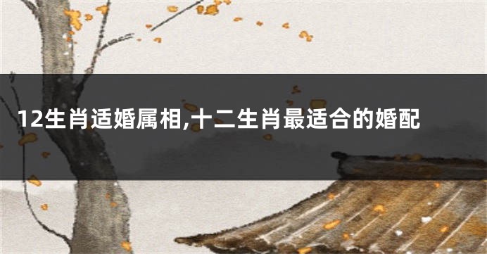 12生肖适婚属相,十二生肖最适合的婚配