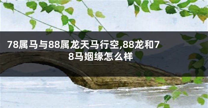 78属马与88属龙天马行空,88龙和78马姻缘怎么样