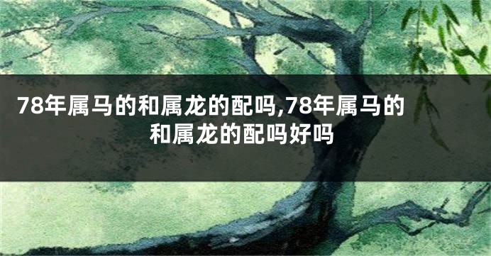 78年属马的和属龙的配吗,78年属马的和属龙的配吗好吗