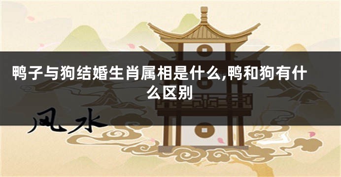 鸭子与狗结婚生肖属相是什么,鸭和狗有什么区别