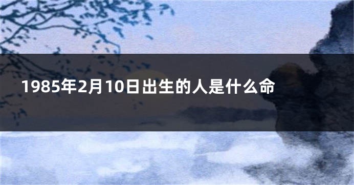 1985年2月10日出生的人是什么命