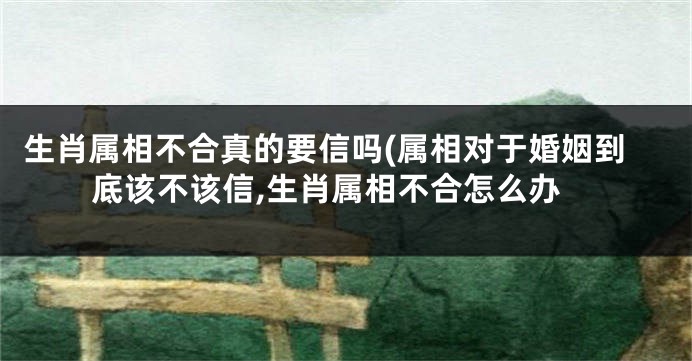 生肖属相不合真的要信吗(属相对于婚姻到底该不该信,生肖属相不合怎么办