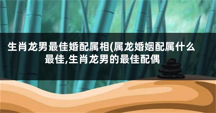生肖龙男最佳婚配属相(属龙婚姻配属什么最佳,生肖龙男的最佳配偶