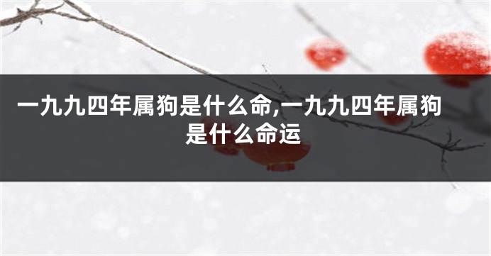 一九九四年属狗是什么命,一九九四年属狗是什么命运