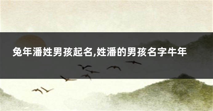 兔年潘姓男孩起名,姓潘的男孩名字牛年