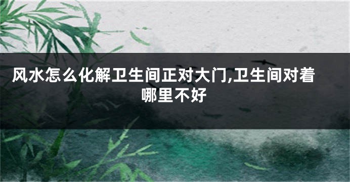 风水怎么化解卫生间正对大门,卫生间对着哪里不好