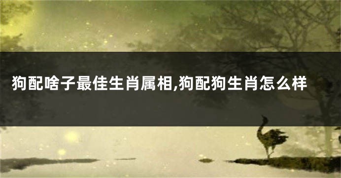 狗配啥子最佳生肖属相,狗配狗生肖怎么样