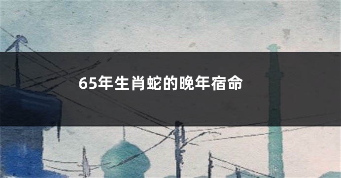 65年生肖蛇的晚年宿命
