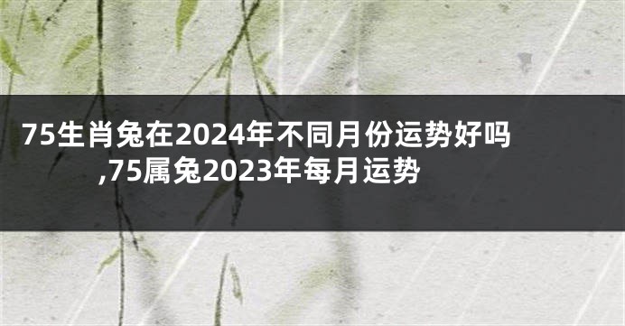 75生肖兔在2024年不同月份运势好吗,75属兔2023年每月运势