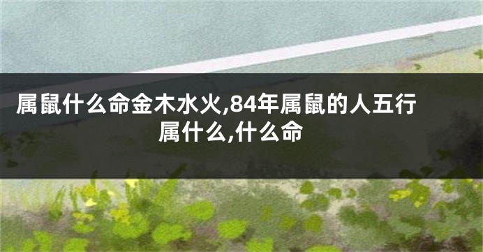 属鼠什么命金木水火,84年属鼠的人五行属什么,什么命