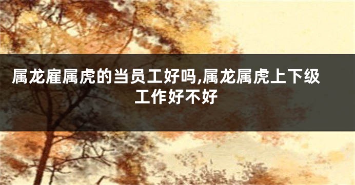 属龙雇属虎的当员工好吗,属龙属虎上下级工作好不好