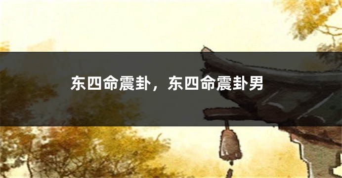 东四命震卦,东四命震卦男