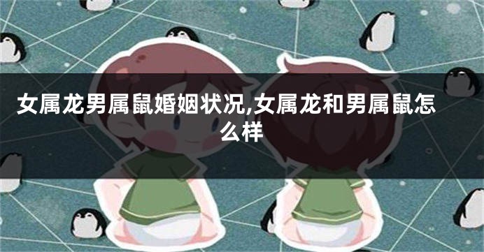 女属龙男属鼠婚姻状况,女属龙和男属鼠怎么样