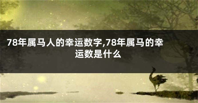 78年属马人的幸运数字,78年属马的幸运数是什么