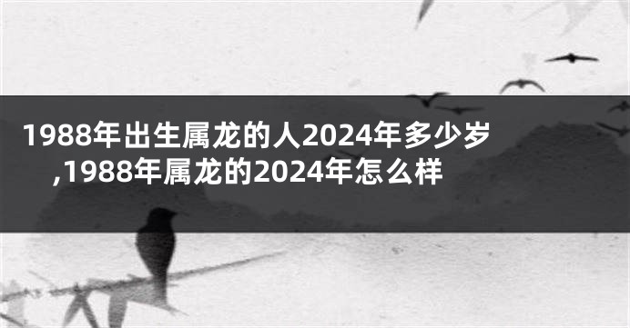 1988年出生属龙的人2024年多少岁,1988年属龙的2024年怎么样