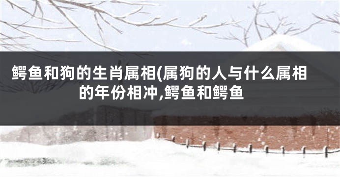 鳄鱼和狗的生肖属相(属狗的人与什么属相的年份相冲,鳄鱼和鳄鱼