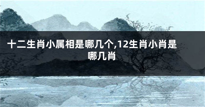 十二生肖小属相是哪几个,12生肖小肖是哪几肖