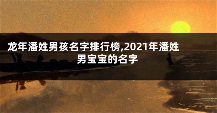 龙年潘姓男孩名字排行榜,2021年潘姓男宝宝的名字