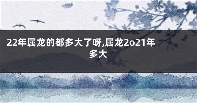 22年属龙的都多大了呀,属龙2o21年多大