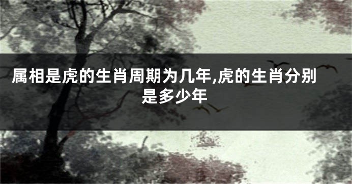 属相是虎的生肖周期为几年,虎的生肖分别是多少年