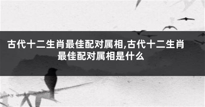 古代十二生肖最佳配对属相,古代十二生肖最佳配对属相是什么
