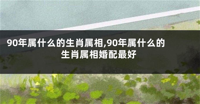 90年属什么的生肖属相,90年属什么的生肖属相婚配最好