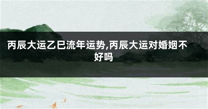 丙辰大运乙巳流年运势,丙辰大运对婚姻不好吗
