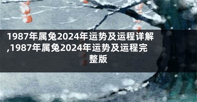 1987年属兔2024年运势及运程详解,1987年属兔2024年运势及运程完整版