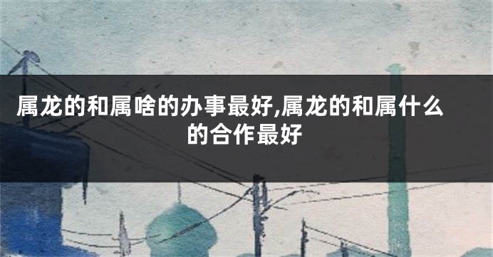 属龙的和属啥的办事最好,属龙的和属什么的合作最好