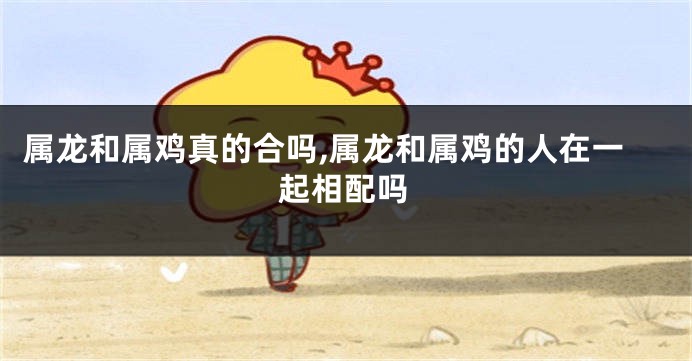 属龙和属鸡真的合吗,属龙和属鸡的人在一起相配吗