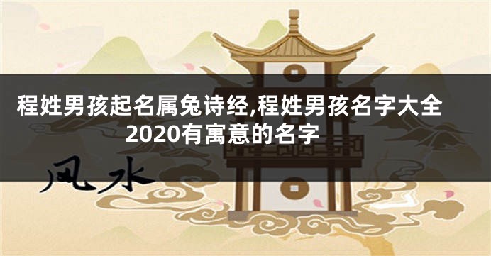程姓男孩起名属兔诗经,程姓男孩名字大全2020有寓意的名字