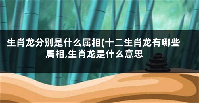 生肖龙分别是什么属相(十二生肖龙有哪些属相,生肖龙是什么意思