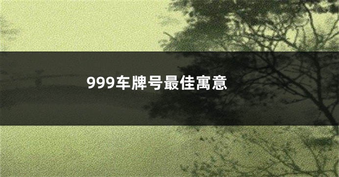 999车牌号最佳寓意