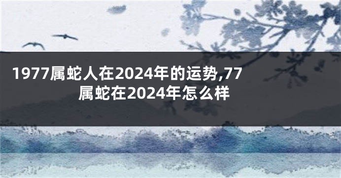 1977属蛇人在2024年的运势,77属蛇在2024年怎么样