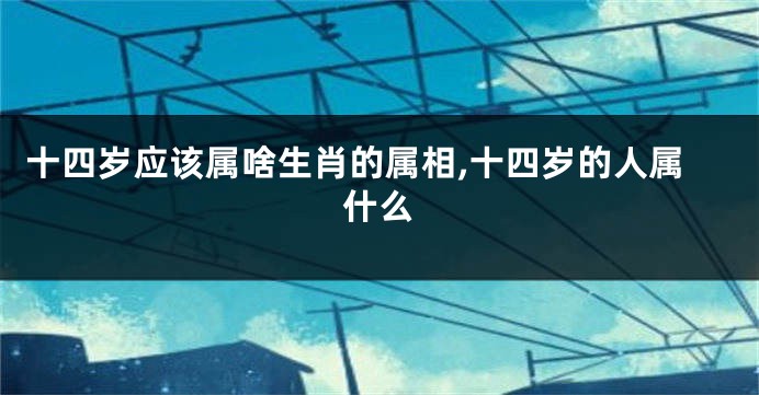 十四岁应该属啥生肖的属相,十四岁的人属什么
