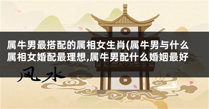 属牛男最搭配的属相女生肖(属牛男与什么属相女婚配最理想,属牛男配什么婚姻最好