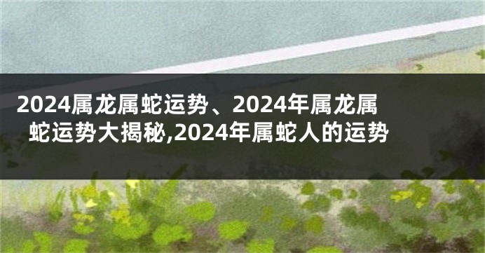 2024属龙属蛇运势、2024年属龙属蛇运势大揭秘,2024年属蛇人的运势