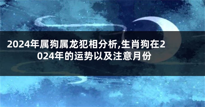 2024年属狗属龙犯相分析,生肖狗在2024年的运势以及注意月份