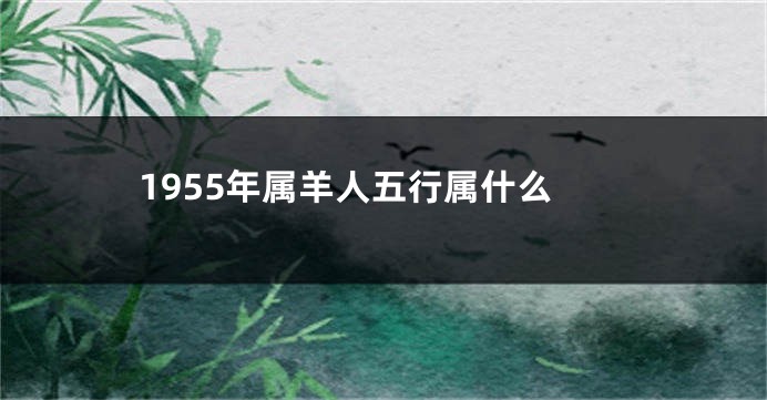 1955年属羊人五行属什么