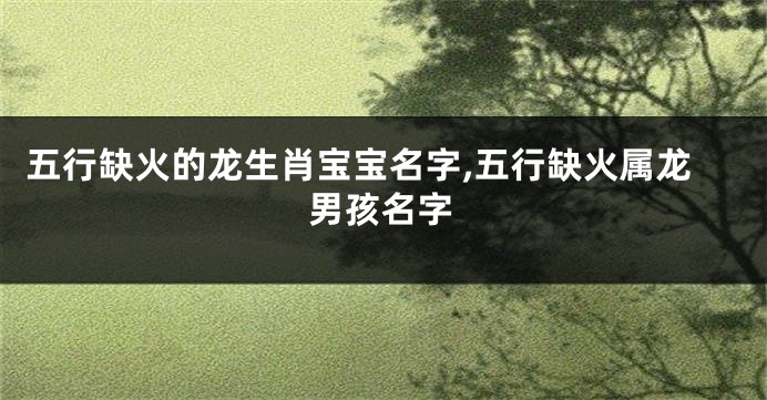 五行缺火的龙生肖宝宝名字,五行缺火属龙男孩名字