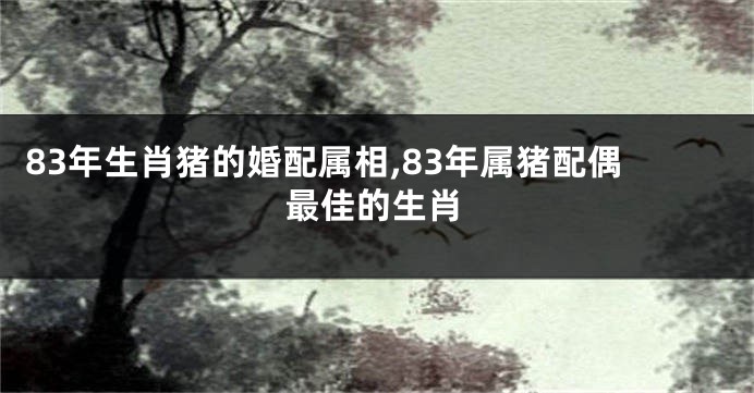 83年生肖猪的婚配属相,83年属猪配偶最佳的生肖